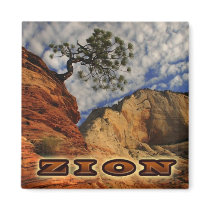 Zion Magnate Fridge Magnets