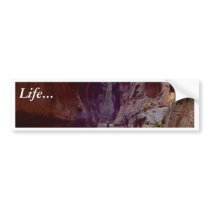 Zion Narrows Hiking Through The River In Zion Narr bumper stickers by lifesphere Zion Narrows Hiking Through The River In Zion Narr bumper stickers