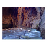 Zion Narrows National Park Postcard