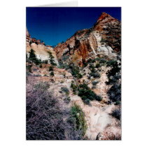 Zion National Park 2 cards