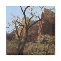 Zion National Park magnets