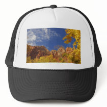Zion National Park Tree With Yellow Leafs And Hill hats by lifesphere Zion National Park Tree With Yellow Leafs And Hill hats