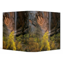 Zion National Park, Utah. USA. Ephemeral Binders