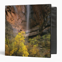 Zion National Park, Utah. USA. Ephemeral Binders