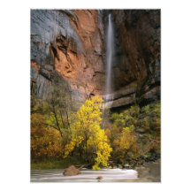 Zion National Park, Utah. USA. Ephemeral Photographic Print