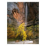 Zion National Park, Utah. USA. Ephemeral