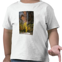 Zion National Park, Utah. USA. Ephemeral Tee Shirt