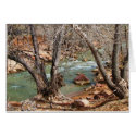 Zion River cards by sumiko Zion River cards