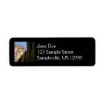 Zion's Weeping Rock Return Address Label
