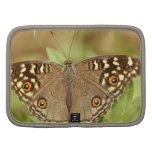 Zip Folio Planner - Customized