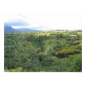 Zipline Vista posters