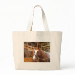 Zipped Bag