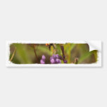 Zippy Bee; No Text Bumper Sticker