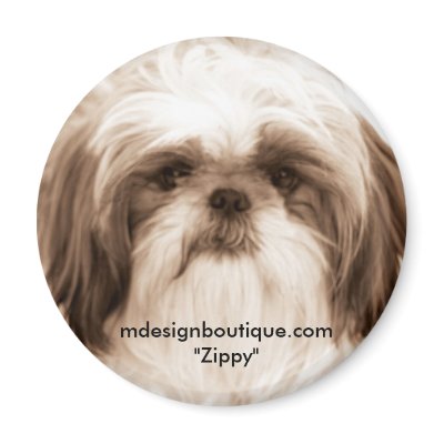 Zippy Magnet by metalissa