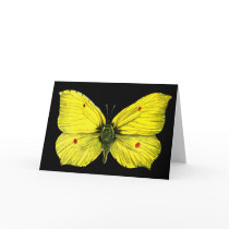 Zitronenfalter Greeting Cards