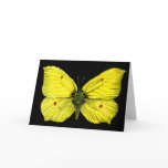 Zitronenfalter cards
