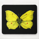 Zitronenfalter mousepads