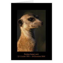 Ziziphus - Legends Card by fkmp_store Ziziphus - Legends Card