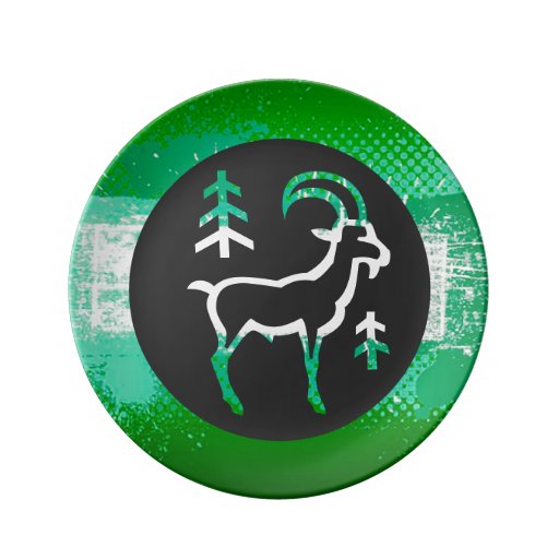 zodiac aries decorative plate green black dinner plate bride and groom christmas ornaments