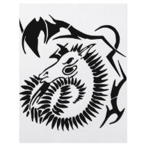 Zodiac Capricorn flyers