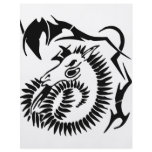 Zodiac Capricorn flyers