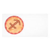 Zodiac SAGITTARIUS:  GOODLUCK Designs Personalized Photo Card