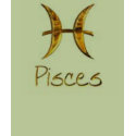 Zodiac t-shirts by hvnsflnangel Zodiac t-shirts