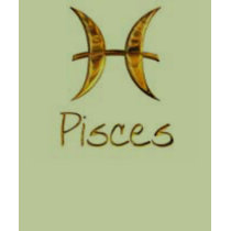Zodiac t-shirts by hvnsflnangel Zodiac t-shirts