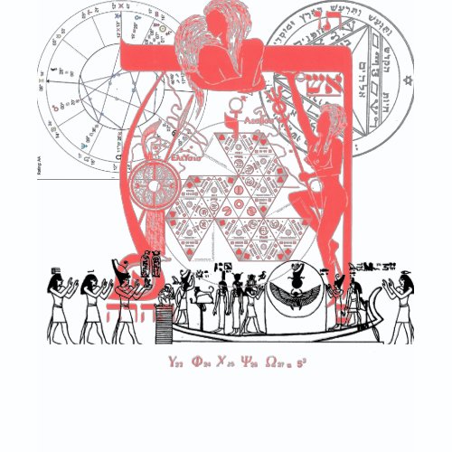 Zodiac tshirt Tarot tshirt shirt