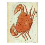 Zodiaco de la constelación del cangrejo del cáncer tarjetas postales