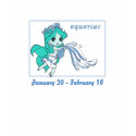 Zodies: Aquarius t-shirts