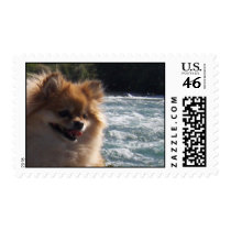 ZOE at Falls postage by rroot1 ZOE at Falls postage