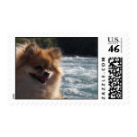 ZOE at Falls postage