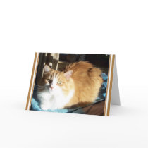 ZOE BABY cards