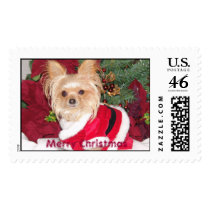 zoe, christmas 2004 047, Merry Christmas postage by tallisa zoe, christmas 2004 047, Merry Christmas postage
