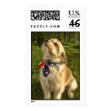 Zoe flag postage
