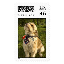 Zoe flag postage by newtonpowell Zoe flag postage