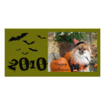 ZOE Happy Halloween, 2010 photo cards