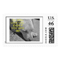 Zoe love postage by dln1974 Zoe love postage