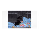 Zoe photo cards