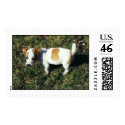 Zoe postage