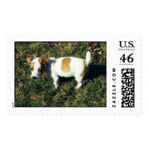 Zoe postage