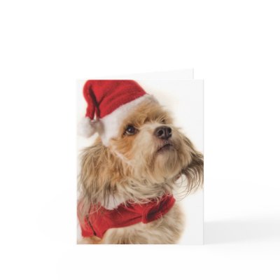 ZOE SANTA GREETING CARD by newtonpowell
