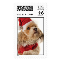 ZOE SANTA postage by newtonpowell ZOE SANTA postage