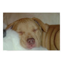 Zoe sleeping posters by dln1974 Zoe sleeping posters
