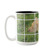 Zoe tiled photo mugs by dln1974 Zoe tiled photo mugs