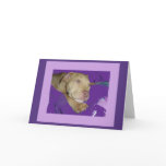 Zoe with purple border card