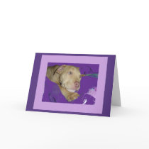 Zoe with purple border card by dln1974 Zoe with purple border card