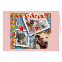 ZoeSPEAK - Come to the party! cards by zoespeak ZoeSPEAK - Come to the party! cards