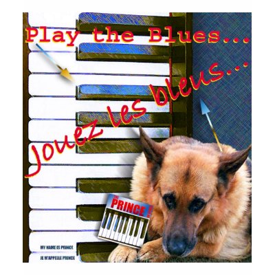 ZoeSPEAK - Piano Blues T-shirt by zoespeak